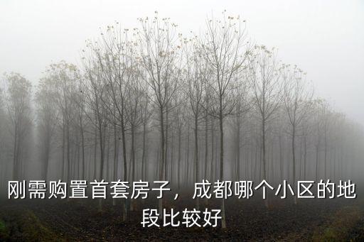 剛需購置首套房子，成都哪個小區的地段比較好