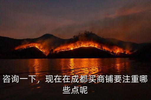 咨詢一下，現在在成都買商鋪要注重哪些點呢