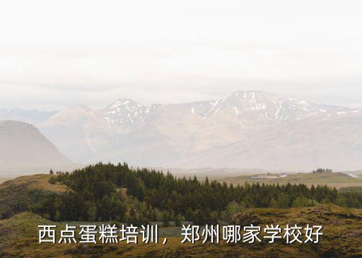鄭州哪里可以學(xué)蛋糕培訓(xùn),西點(diǎn)蛋糕培訓(xùn)
