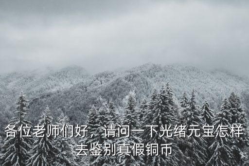 各位老師們好，請問一下光緒元寶怎樣去鑒別真假銅幣