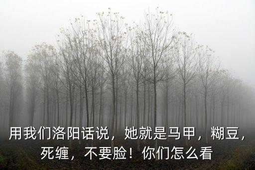 洛陽話旮旯怎么說,洛陽話有三寶
