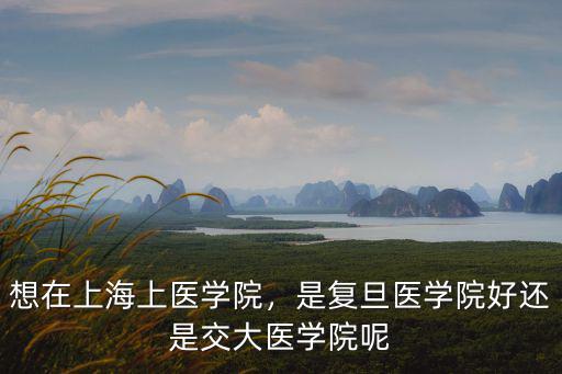 想在上海上醫學院，是復旦醫學院好還是交大醫學院呢