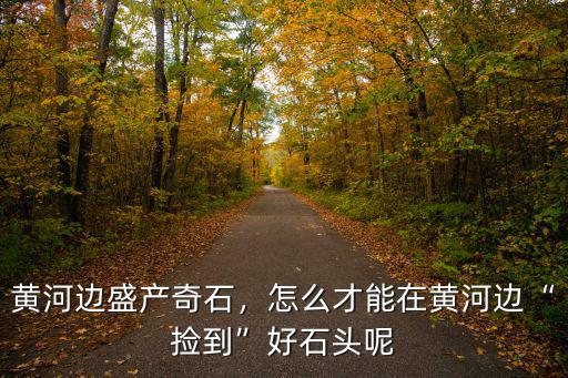 巴中哪里好撿石頭,網(wǎng)友們都在哪里撿石頭