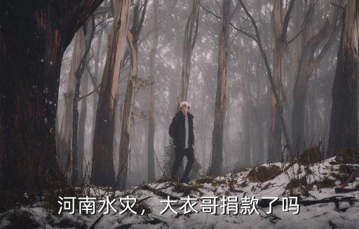 古力娜扎為河南捐款了多少,河南洪災你捐款了嗎