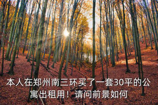 本人在鄭州南三環買了一套30平的公寓出租用！請問前景如何