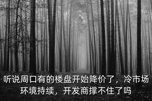 聽說周口有的樓盤開始降價了，冷市場環境持續，開發商撐不住了嗎