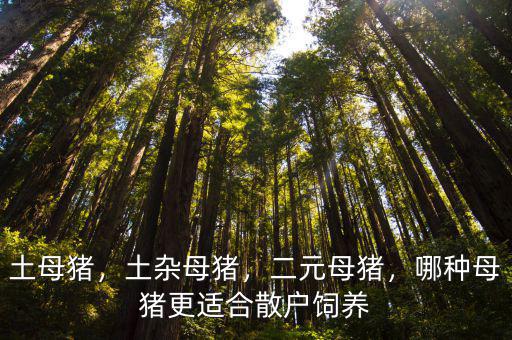 到哪里去賣(mài)眉山母豬,最終這些肉會(huì)賣(mài)到哪里