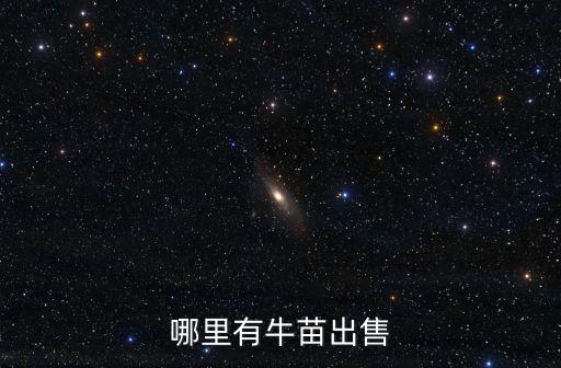 遂寧哪里有養(yǎng)牛場(chǎng),哪里有牛苗出售
