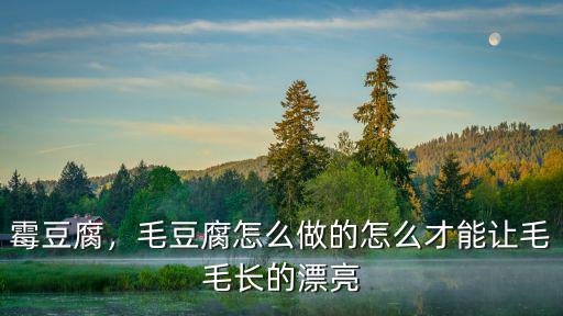 四川哪里傳授毛豆腐制作,如何制作毛豆腐