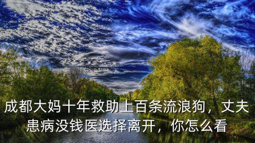 成都大媽十年救助上百條流浪狗，丈夫患病沒錢醫選擇離開，你怎么看