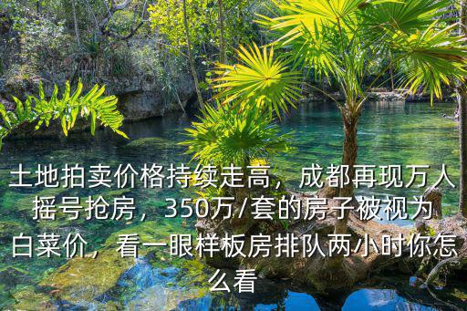 成都搖號買房的價格在哪里看,成都再現萬人搖號搶房
