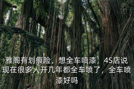 雅閣有劃痕險，想全車噴漆，4S店說現在很多人開幾年都全車噴了，全車噴漆好嗎