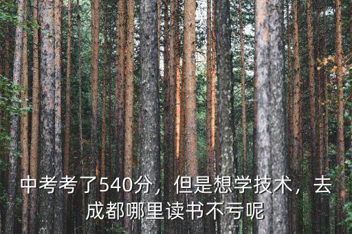 中考考了540分，但是想學技術，去成都哪里讀書不虧呢