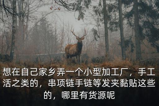 想在自己家鄉(xiāng)弄一個小型加工廠，手工活之類的，串項鏈手鏈等發(fā)夾黏貼這些的，哪里有貨源呢