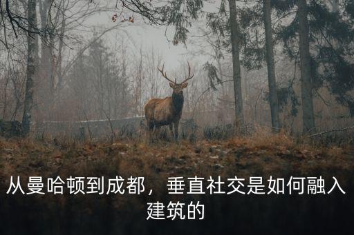 從曼哈頓到成都，垂直社交是如何融入建筑的