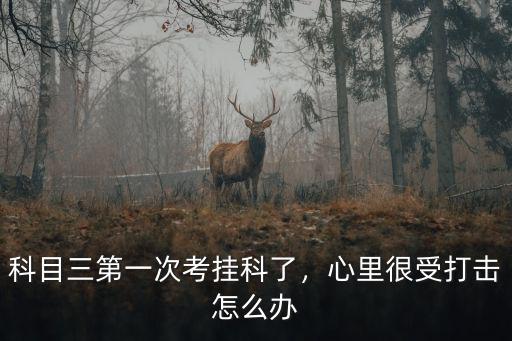 科目三第一次考掛科了，心里很受打擊怎么辦