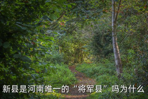 河南新縣條件怎么樣,河南信陽新縣發(fā)展的怎么樣