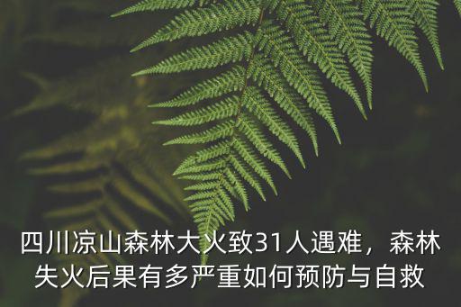 四川涼山森林大火致31人遇難，森林失火后果有多嚴(yán)重如何預(yù)防與自救
