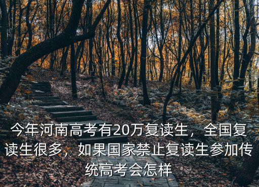 2019年河南省高考復讀生占多少,今年河南高考有20萬復讀生