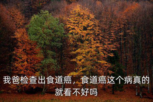 洛陽(yáng)哪里治食道癌好,食道癌的中醫(yī)治療怎么治