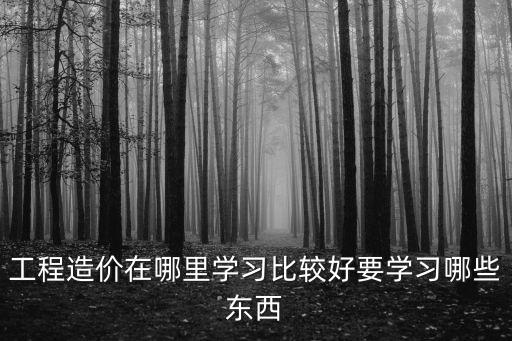 南充哪里有學習工程造價的,工程造價在哪里學習比較好