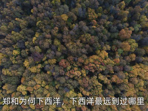 鄭和為何下西洋，下西洋最遠到過哪里