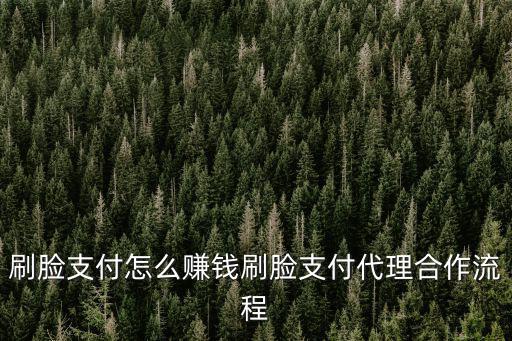 刷臉支付怎么賺錢刷臉支付代理合作流程