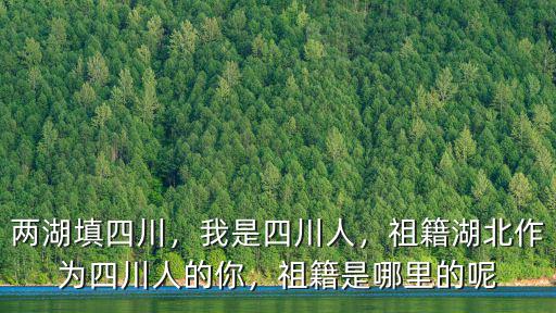 兩湖填四川，我是四川人，祖籍湖北作為四川人的你，祖籍是哪里的呢