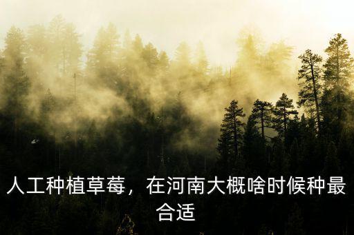 河南春季種草莓怎么種,草莓玉米怎么種