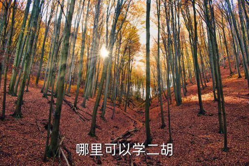 學(xué)二胡在成都哪里學(xué),哪里可以學(xué)二胡