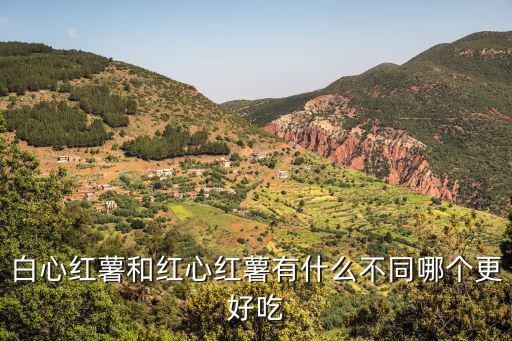 白心紅薯和紅心紅薯有什么不同哪個(gè)更好吃