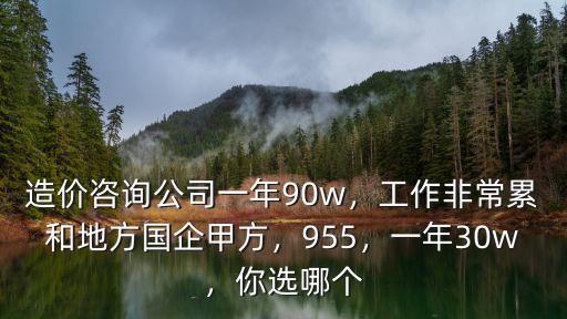 平頂山造價咨詢工資多少,造價咨詢公司工資高嗎