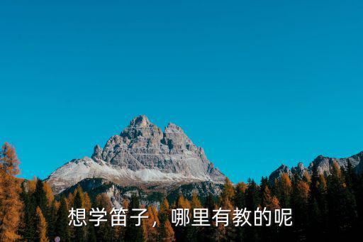 廣安哪里有學笛子的,哪里有教的呢