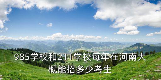 985學校和211學校每年在河南大概能招多少考生