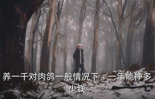 洛陽(yáng)蛋鴿子多少錢(qián)一只,軍鴿一只多少錢(qián)報(bào)價(jià)