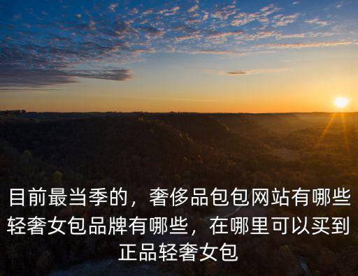 目前最當(dāng)季的，奢侈品包包網(wǎng)站有哪些輕奢女包品牌有哪些，在哪里可以買到正品輕奢女包