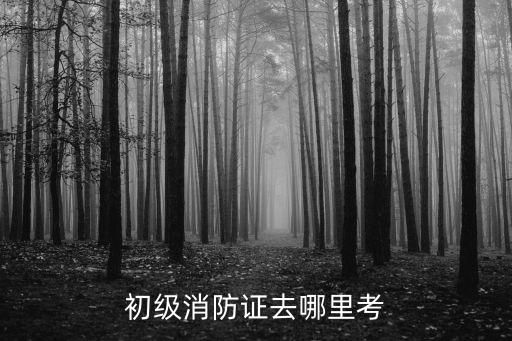初級消防證去哪里考