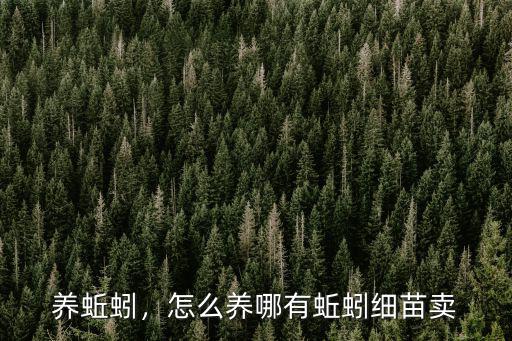養蚯蚓，怎么養哪有蚯蚓細苗賣