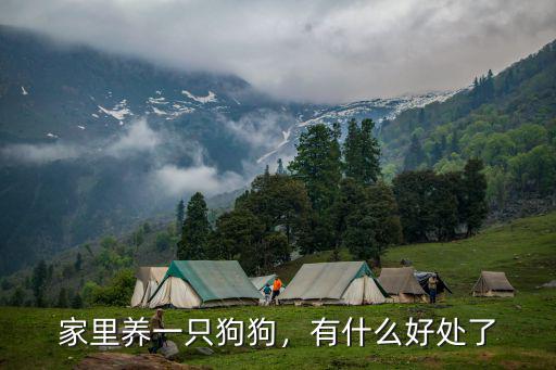 家里養一只狗狗，有什么好處了