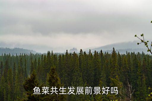 鄭州優良魚菜共生怎么樣,魚菜共生蔬菜的口感怎么樣