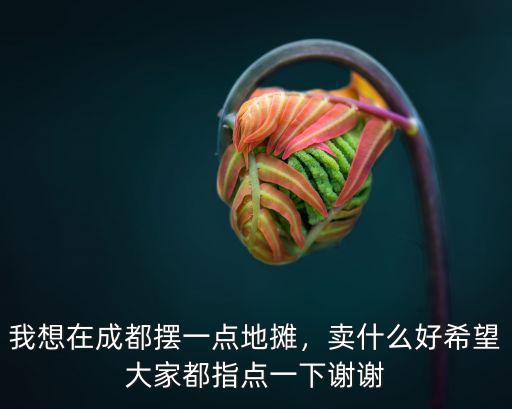 我想在成都擺一點(diǎn)地?cái)偅u(mài)什么好希望大家都指點(diǎn)一下謝謝