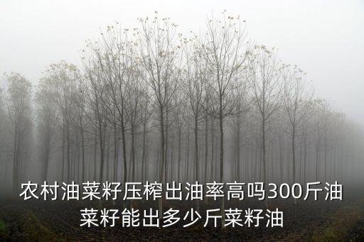 農村油菜籽壓榨出油率高嗎300斤油菜籽能出多少斤菜籽油