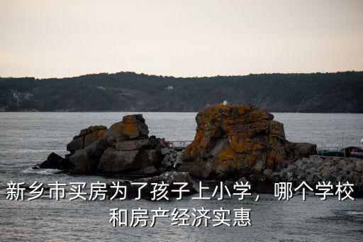 新鄉(xiāng)市新鼎小學(xué)收費(fèi)多少,新鄉(xiāng)市哪個小學(xué)好