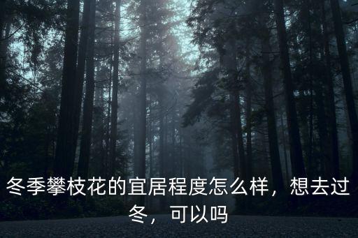 冬季攀枝花的宜居程度怎么樣，想去過冬，可以嗎