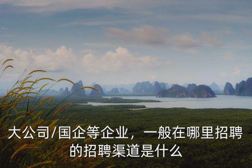 大公司/國企等企業(yè)，一般在哪里招聘的招聘渠道是什么