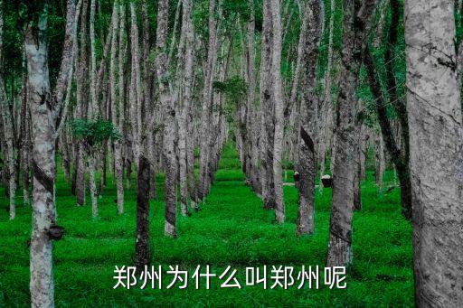 鄭州是怎么起名,鄭州是什么時(shí)候開始叫鄭州的