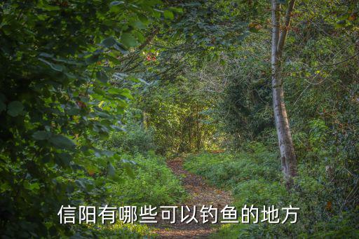 信陽有哪些可以釣魚的地方