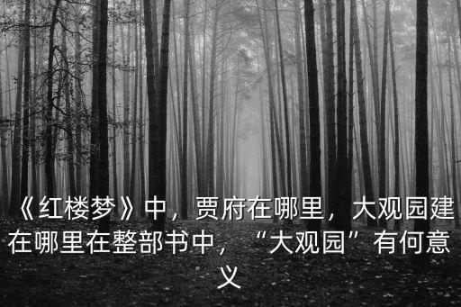 鄭州大觀園在哪里,《紅樓夢》中的大觀園在哪里