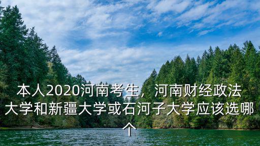 本人2020河南考生，河南財經政法大學和新疆大學或石河子大學應該選哪個