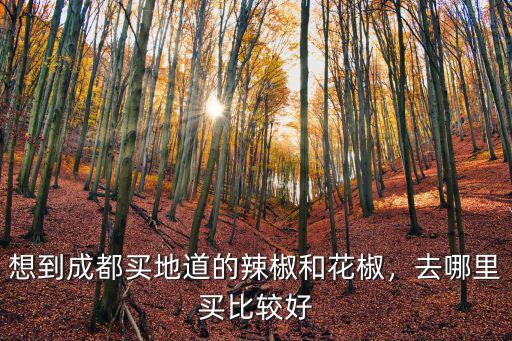 想到成都買地道的辣椒和花椒，去哪里買比較好